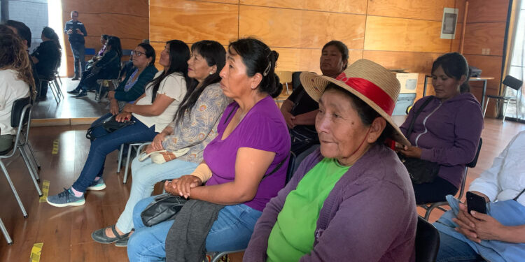 En Pica y Pozo Almonte: Temáticas en capacitación de negocios, marketing y uso de agua marcaron Mesa de la Mujer Rural