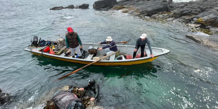 Indespa prepara segunda ronda de fondos concursables en apoyo a la pesca artesanal y acuicultura de pequeña escala