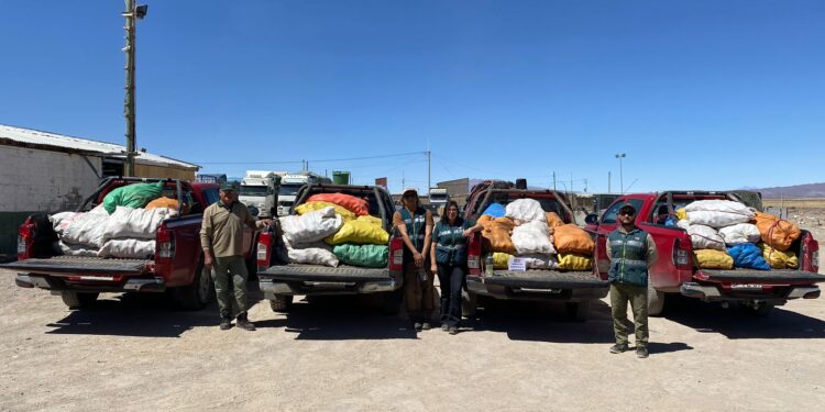 SAG ha interceptado más de 77 toneladas de papas que ingresan de manera ilegal al país