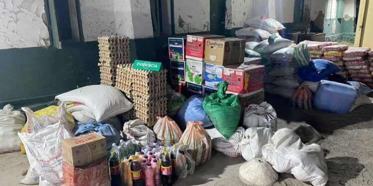 Detienen a conductores que ingresaron al país alimentos de contrabando por sector de Colchane
