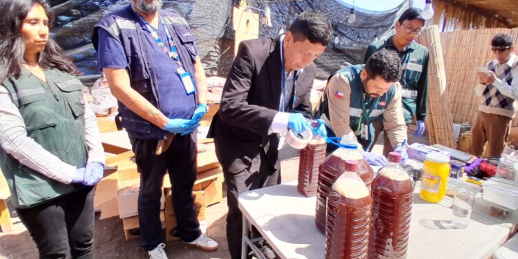 Seremi de Salud y SAG Tarapacá dan inicio a fiscalización por Fiestas Patrias 2023