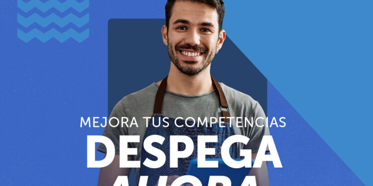 Despega Mipe: SENCE ofrece cursos gratuitos para Mipymes de Tarapacá