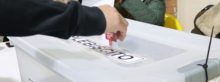 15.406.352 electores conforman el Padrón Electoral Definitivo para este Plebiscito Constitucional