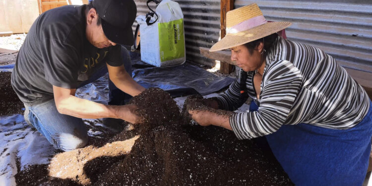 Usuarios de INDAP en Pachica harán más eficiente sus labores agrícolas con el uso de almácigos