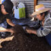 Usuarios de INDAP en Pachica harán más eficiente sus labores agrícolas con el uso de almácigos