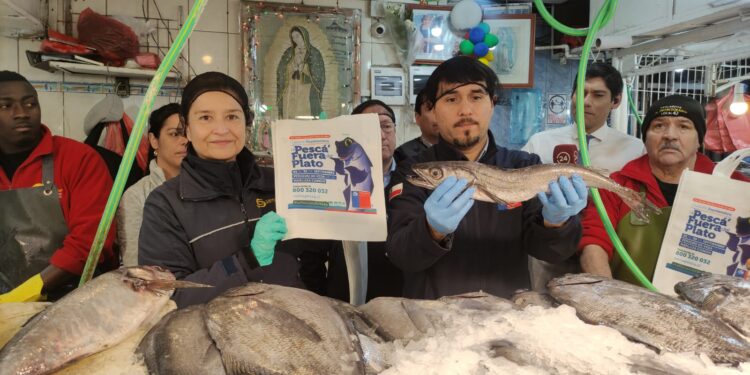 Sernapesca realizó positivo balance tras veda de merluza común