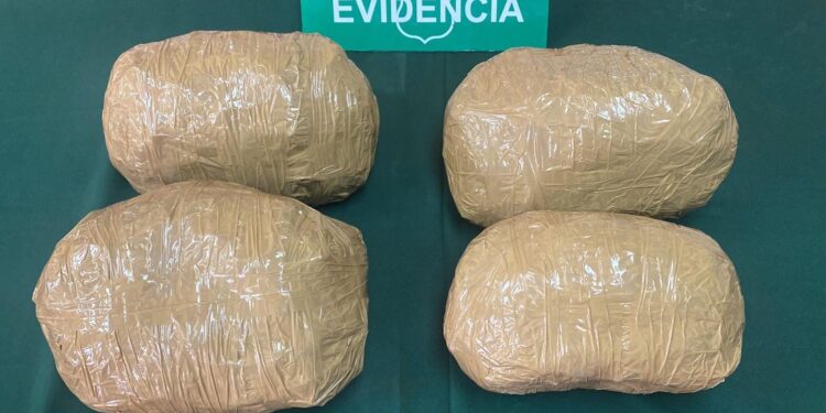 Detenidos por tráfico de drogas en Alto Hospicio