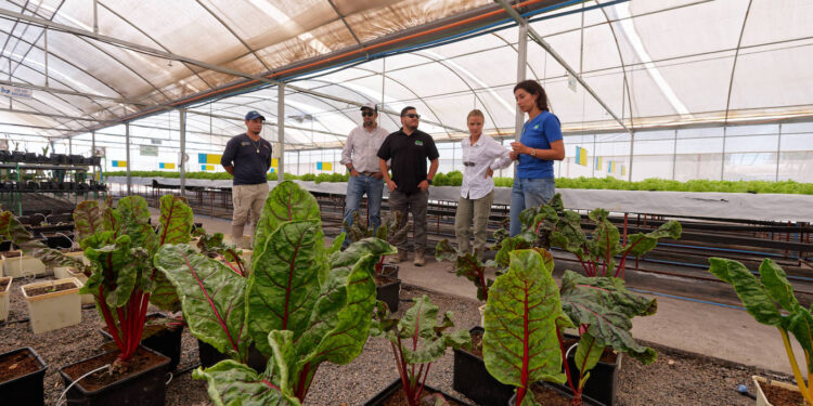 Agricultura en el Desierto: innovación y protección del planeta