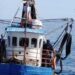 Declaración Pública Sernapesca Tarapacá