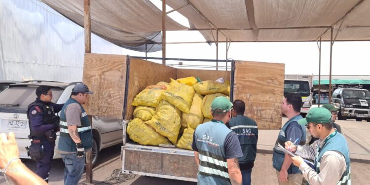Siete toneladas de productos agrícolas decomisados en fiscalización en Alto Hospicio