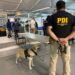 PDI incauta más de 14 mil dosis de ketamina a dos imputadas en Aeropuerto Chacalluta de Arica