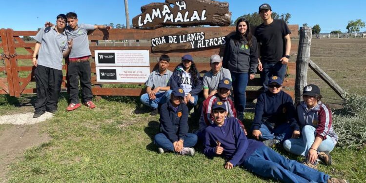 Estudiantes del Liceo Bicentenario de Pica regresan con nuevos aprendizajes de pasantías en Francia y Argentina