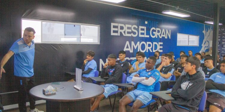 Más de 16 toneladas de productos agrícolas de contrabando decomisados en fiscalizaciones intersectoriales