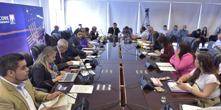 Gobierno de Tarapacá financia histórica cifra para mitigar suelos salinos en Alto Hospicio