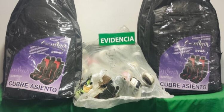 Carabineros detuvo a individuos que robaron especies desde camión