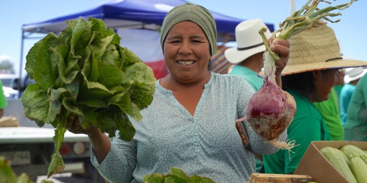 Mercado Agrícola: Activaciones en vivo y ponencias de expertos nacionales encabezan el 72° Congreso Nacional de Agronomía en Iquique