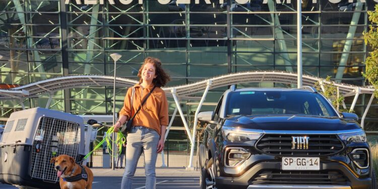 Conoce la historia de Miguelito: El can rescatado por los partners de FIAT