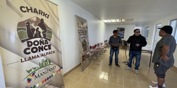 Donde comienza Chile están habilitando la primera charquería camélida