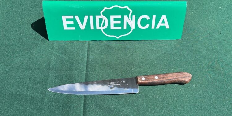 Cuatro detenidos en Colchane por amenazar a chofer con arma blanca