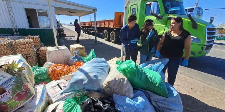 SAG en alerta por vegetales que ingresan ilegalmente a Chile con residuos de plaguicidas prohibidos
