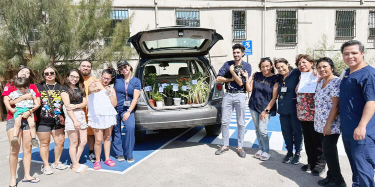 Unidad de cuidados paliativos del Hospital de Arica recibió donativo de plantas ornamentales