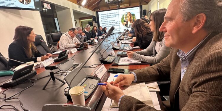 CORFO sumará seis nuevos Comités de Desarrollo Productivo Regional el 2024