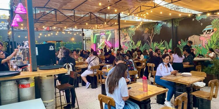 «Jardín del Jolgorio”: Donde la Pasión por la Cerveza Artesanal, la Gastronomía Local y la Escena Musical se Fusionan