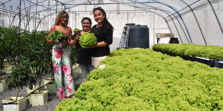 Grupo de emprendedoras compromete apoyo a hidropónico del CCP Iquique