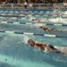 Seremi del Deporte Tarapacá invita a talleres y corrida familiar en este verano 2024