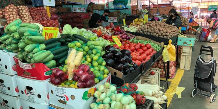 Seremi de Economía: “Es destacable el dato IPC, pero la inflación es un fenómeno que se tiene que ver a largo plazo y evidentemente ha bajado”