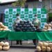 Carabineros del OS 7 Iquique decomisaron casi 100 kilos de drogas destinadas a la Región Metropolitana