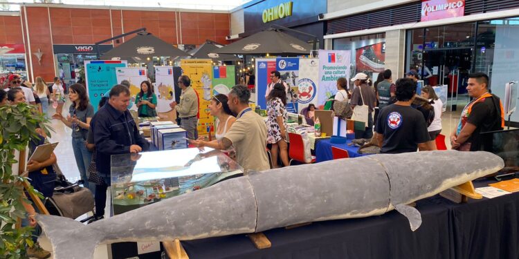 Medio Ambiente celebró el Día Mundial de la Educación Ambiental en Tarapacá