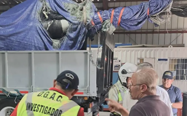 En Santiago helicóptero en que murió el exPresidente Sebastián Piñera: Investigación tomará 8 meses