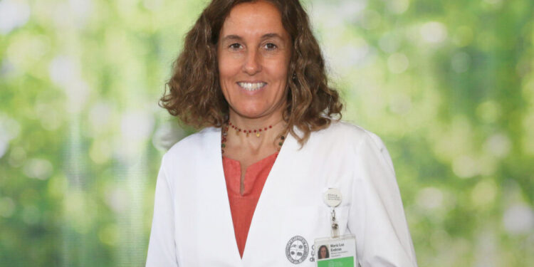 Dengue: ¿Cómo prevenir el contagio y reconocer sus síntomas?