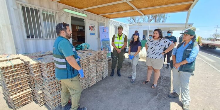 Enero 2024: SAG Tarapacá suma decomiso de 22 mil kilos de productos agropecuarios de ingreso clandestino