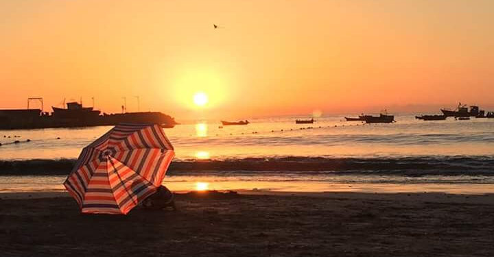 Vidas Pasajeras, por Sonia Pereira Torrico