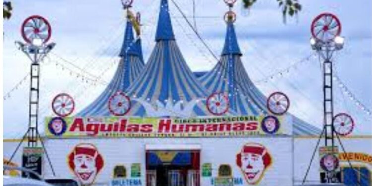 El domador de leones, por Sonia Pereira Torrico