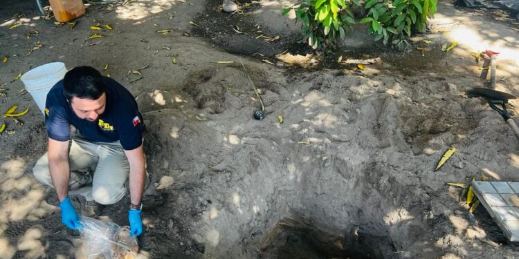 PDI verificó hallazgo de osamentas prehispánicas en el Valle de Azapa
