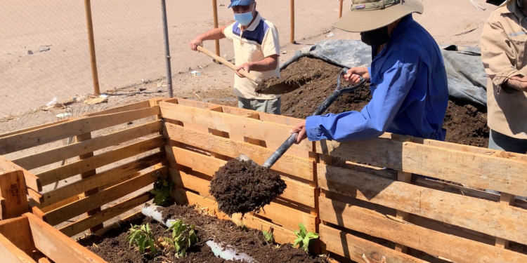 Agricultores agroecológicos de Codpa y Pica se reúnen en encuentro birregional