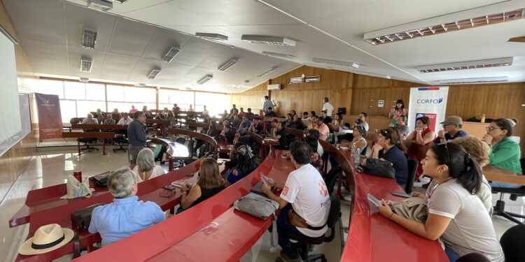 DFL15: Alto interés de las MiPymes por conocer cómo opera el pago de la bonificación