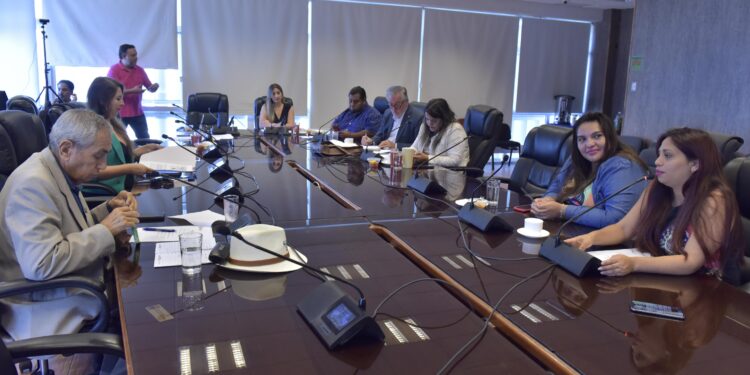Buscan ampliar recepción de postulaciones a concursos 8% FNDR de cultura y deportes