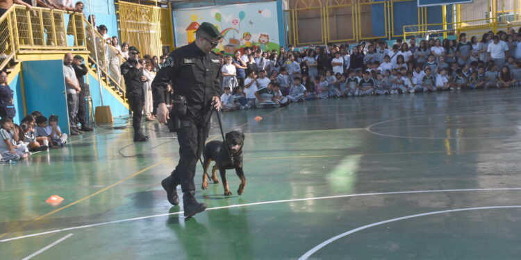 Canes adiestrados de Gendarmería se presentaron en el Corona School