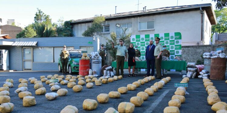 Más de 200 kilos de marihuana decomisó Carabineros en operativo antidrogas