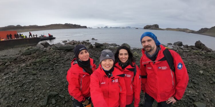 Equipo chileno logra secuenciar por primera vez el genoma completo de la influenza aviar altamente patógena en la Antártica