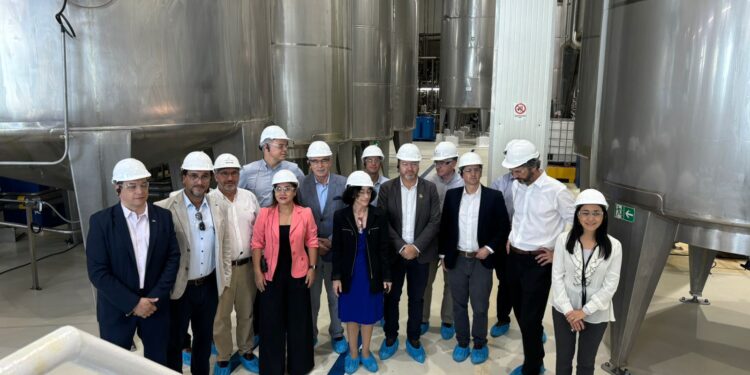 Asociación de Industriales de Iquique (AII) participa en reunión de Gremios de a Macrozona Norte efectuado en Arica