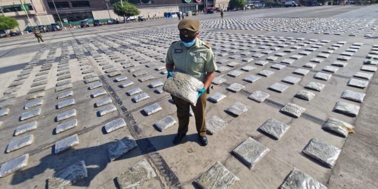 Más de 16 mil millones de pesos en droga incautó Carabineros / Se allanaron 5 domicilios en Alto Hospicio