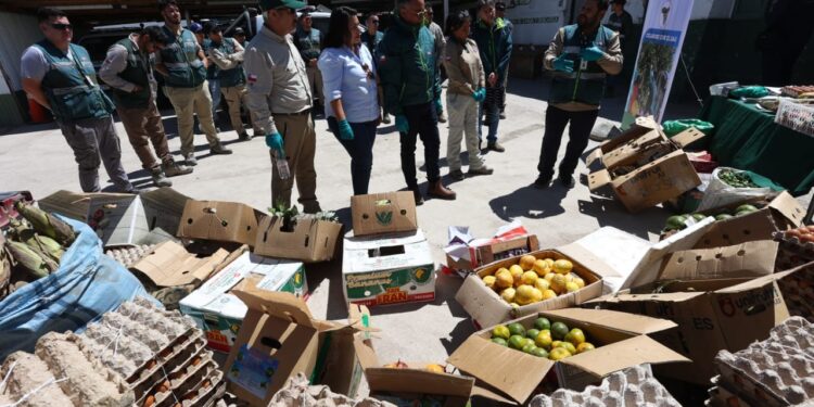 Director Nacional del SAG encabeza operativo fronterizo en Colchane