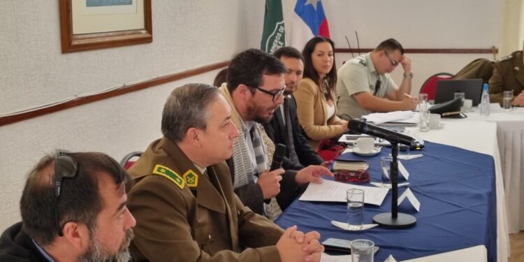 Carabineros destaca trabajo conjunto con instituciones en sesión del STOP