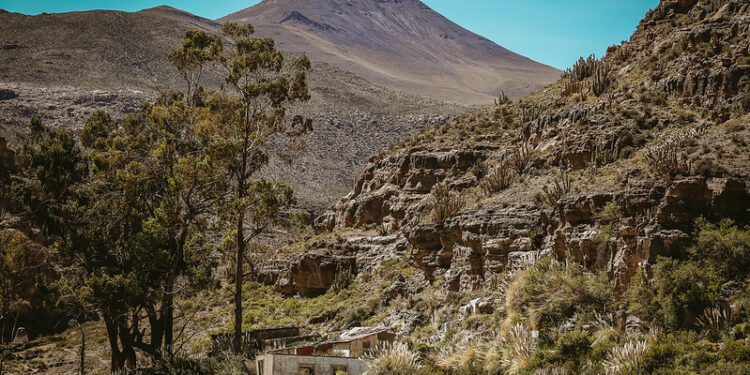 Bienes Nacionales concretó primera transferencia territorial a Comunidad Indígena de Chusmiza Usmagama