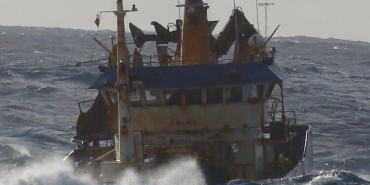 Capitanes de Pesca llaman a fomentar industria que abra campo laboral de calidad